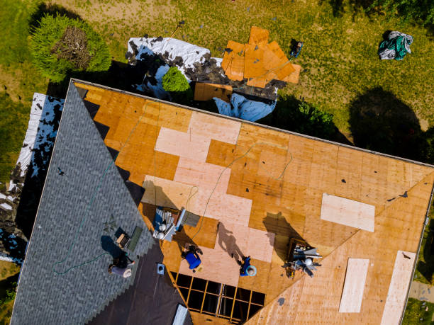 Best Roof Gutter Cleaning  in Carrollton, GA