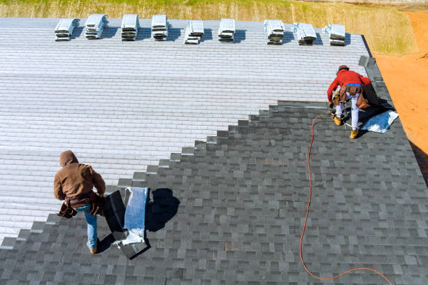 Best Storm Damage Roof Repair  in Carrollton, GA